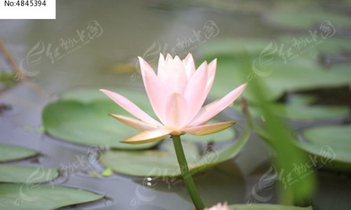 黄鼻涕多嗓痛干不用药怎么办呢网—知名的黄鼻涕嗓子疼是什么类型的感冒网站,分享黄鼻涕喉咙痛吃什么感冒药知识