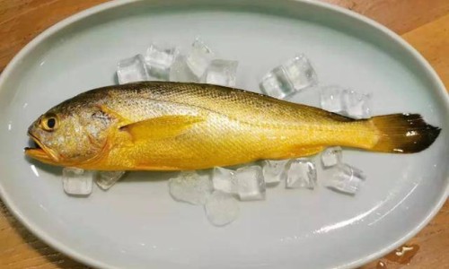 黄鼻涕加喉咙痛-黄鼻涕多嗓痛干不用药怎么办呢网—知名的黄鼻涕嗓子疼是什么类型的感冒网站,分享黄鼻涕喉咙痛吃什么感冒药知识