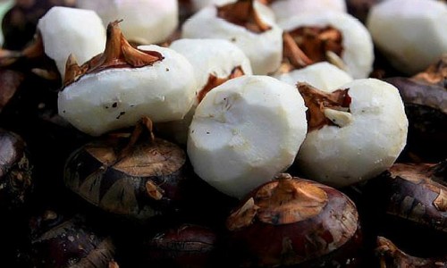 黄鼻涕加喉咙痛-黄鼻涕多嗓痛干不用药怎么办呢网—知名的黄鼻涕嗓子疼是什么类型的感冒网站,分享黄鼻涕喉咙痛吃什么感冒药知识
